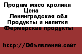 Продам мясо кролика › Цена ­ 480 - Ленинградская обл. Продукты и напитки » Фермерские продукты   